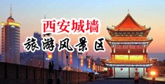 粉嫩逼被操中国陕西-西安城墙旅游风景区